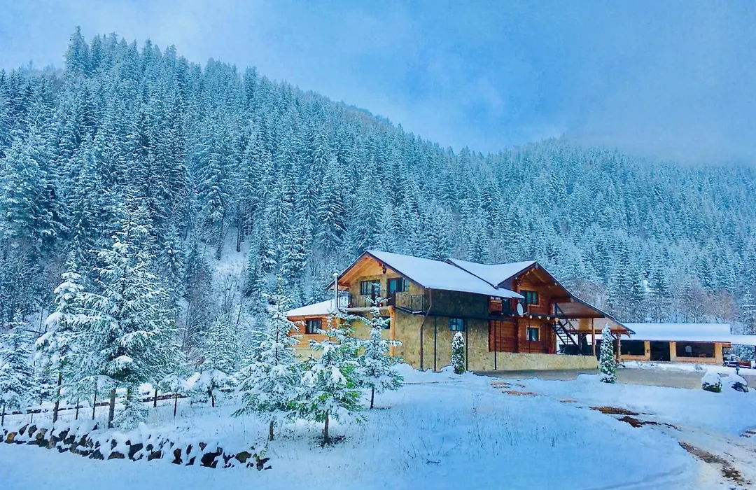 Staniștea Cerbilor-1