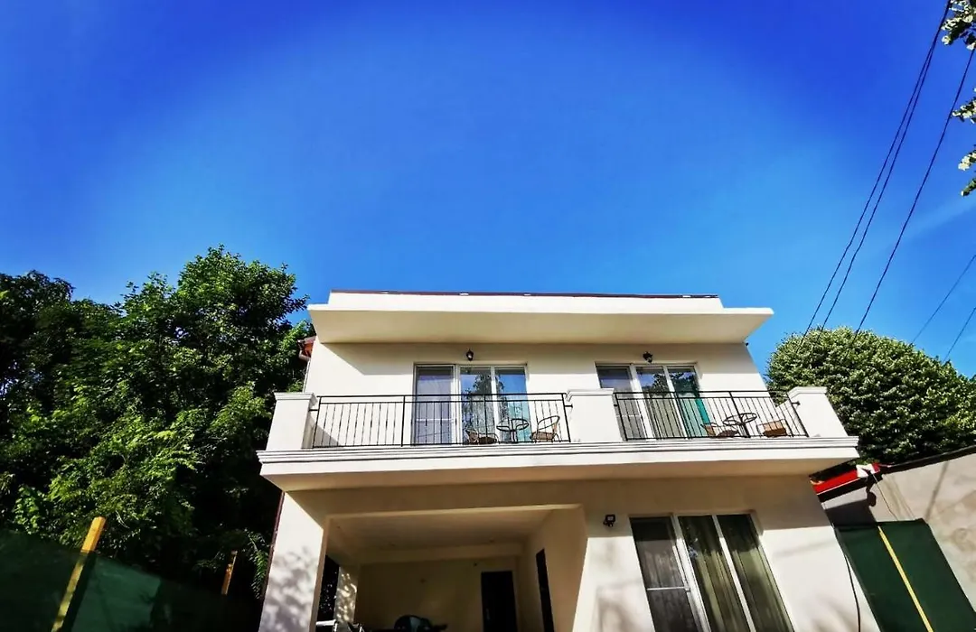 Vila Dan-1
