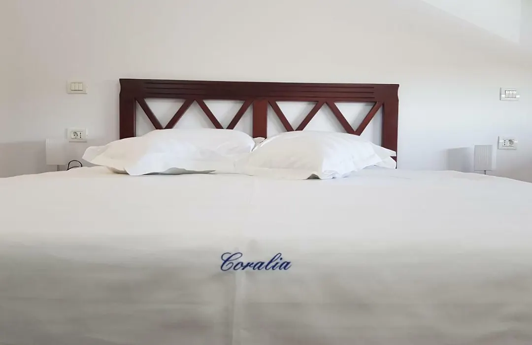 Pensiunea Coralia-1