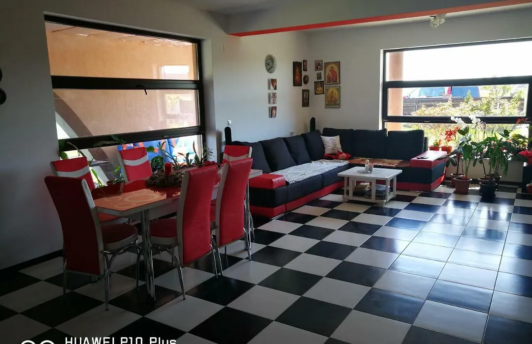 Casa Iris Murighiol-1