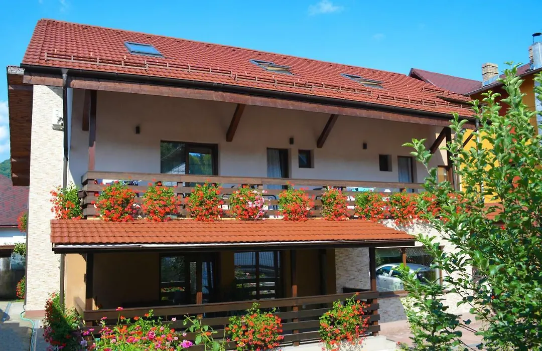 Vila Andrei-1