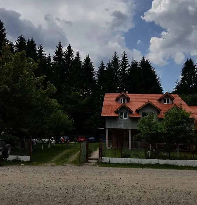 Cabana Merișor-1