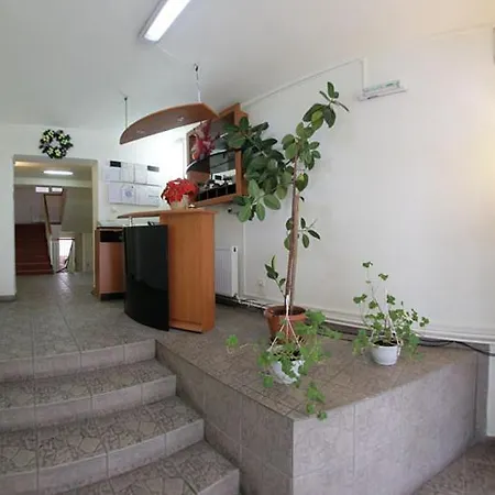 Pensiunea Confort-3