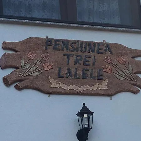 Pensiunea Trei Lalele-3