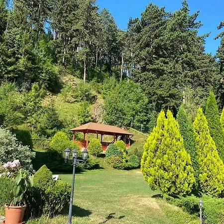 BellaVista Brasov-3