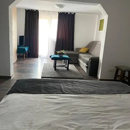 Vila Sorina-3