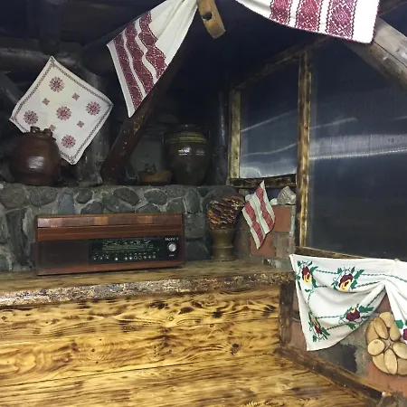 Cabana Ancutei-3
