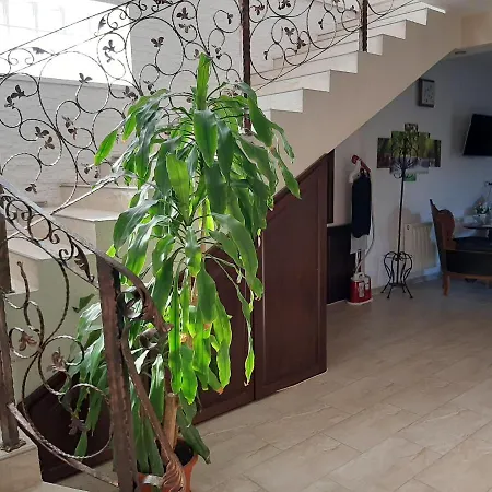 Vila Fortuna Auri-2