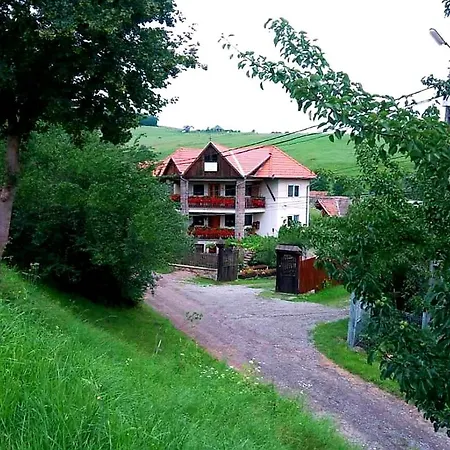Pensiunea Bordás Panzió-3