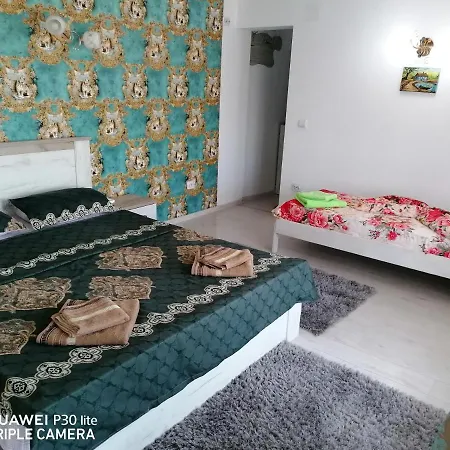 Casa Iris Murighiol-3
