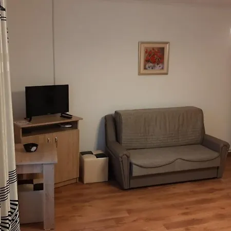 Casa Sviniceană-2