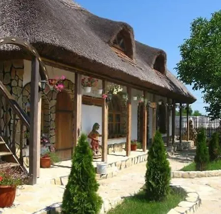 Casa cu flori Murighiol-3