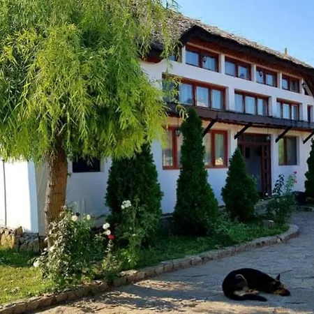Casa cu flori Murighiol-2