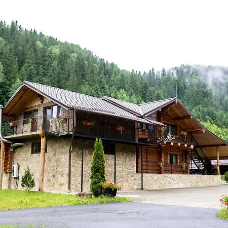 Staniștea Cerbilor-3