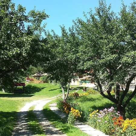 Pensiunea Laura-3