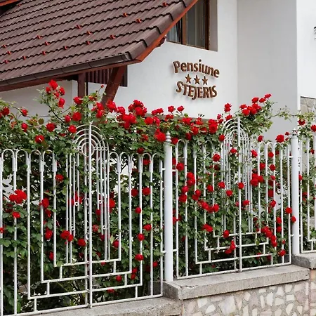 Pension Stejeris-3