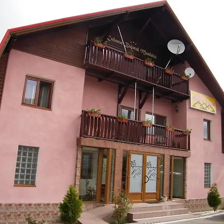 Pensiunea Bujor de Munte-2