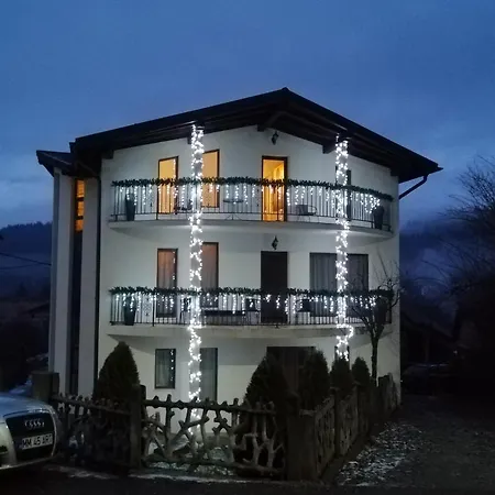 Pensiunea Timiș-2