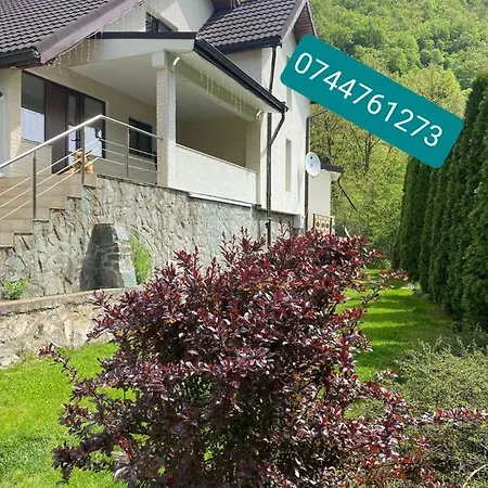 Casa dintre Brazi Hunedoara-3