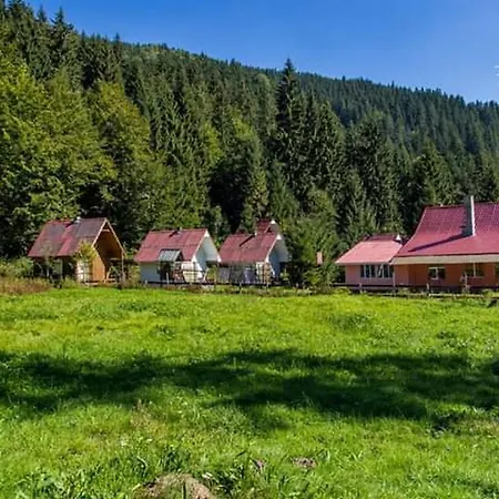 Cabana Valea Stanciului-3
