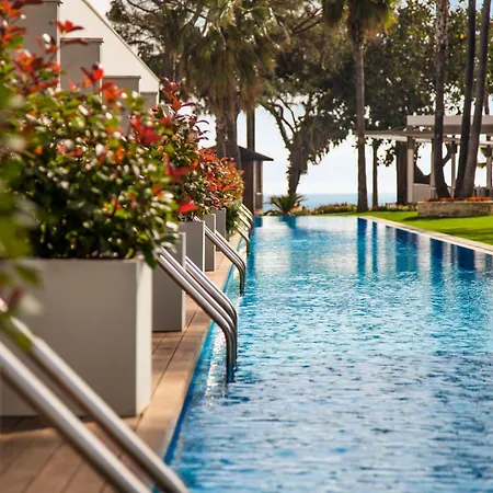 Acanthus Cennet Barut Collection-3