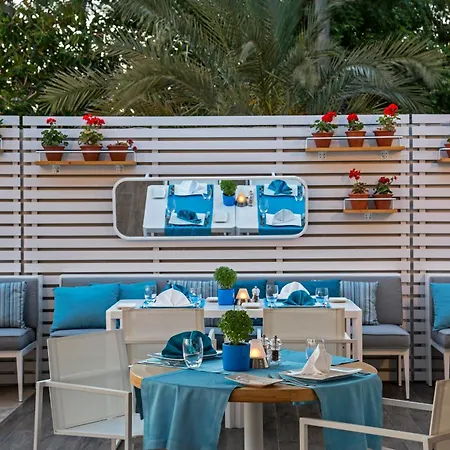 Acanthus Cennet Barut Collection-2