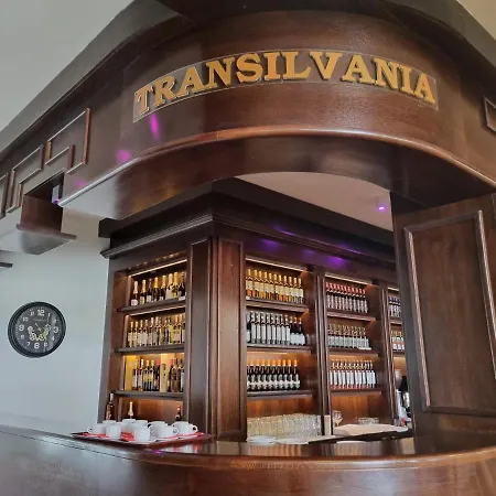 VILA Restaurant Transilvania-3