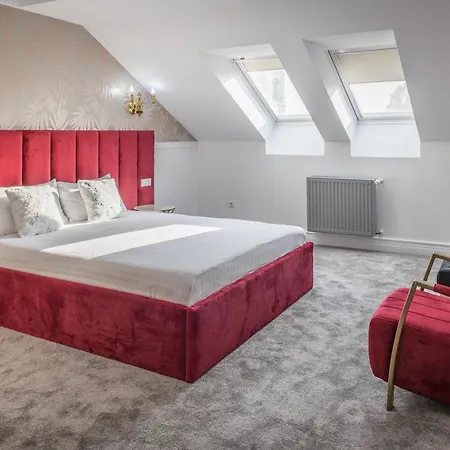 Hotel Vila Central Boutique Satu Mare-2