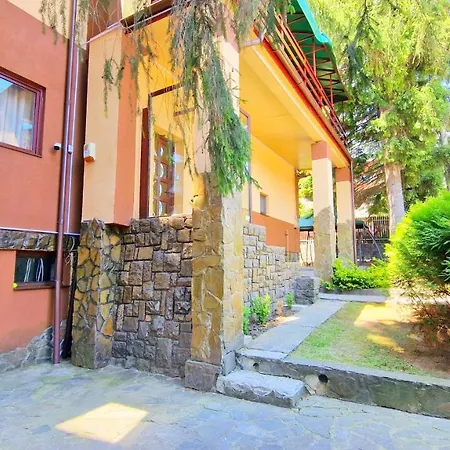 Casa cu Brazi-3