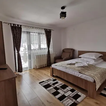 Casa Dana Olteanu-2