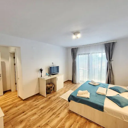 Casa Cochilia - Gradina si Terasa - Camere Private Tuzla-3