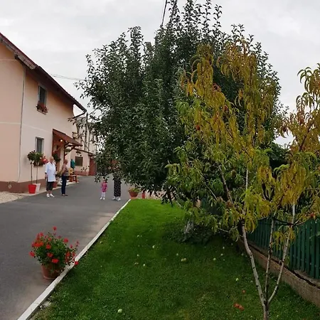 Cazare La Troita-3