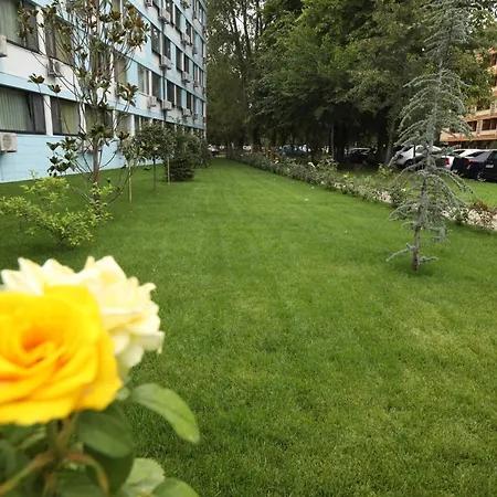 Hotel Delfin-2