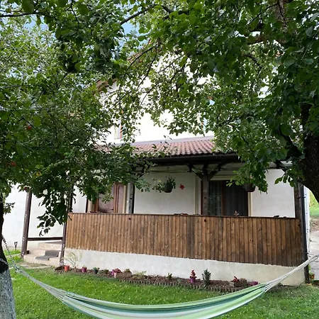 Casa Făget-3