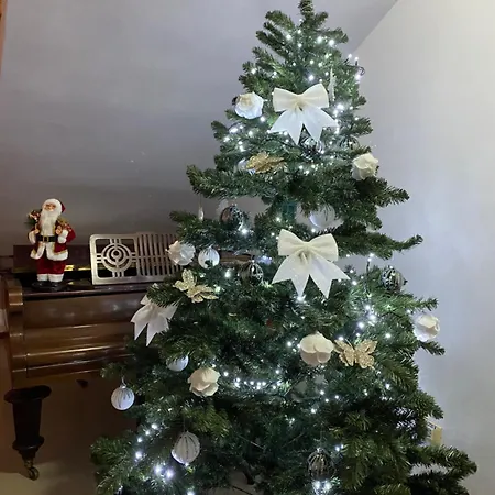 Casa Pino-2