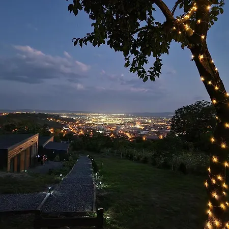Pensiunea Bella Vista Turda-2