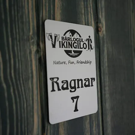 Bârlogul Vikingilor-2