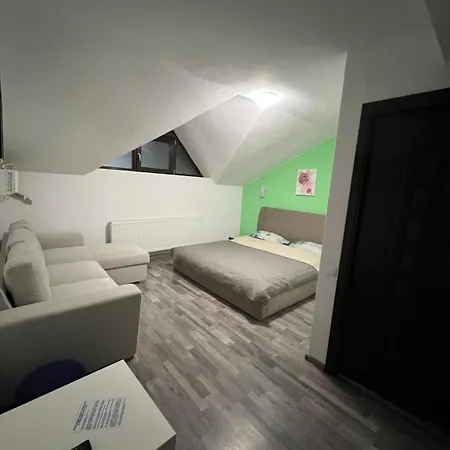 Pensiunea Lui Calin-3