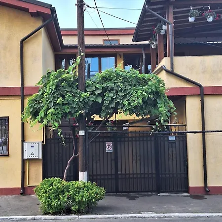 Vila Trandafir-2