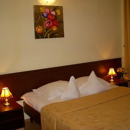 Hotel Decebal-2