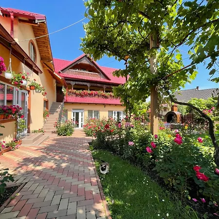 Pensiunea Alina-3