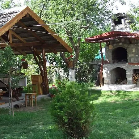 Zori de zi-3
