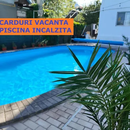 Vila Fifi Costinesti-2