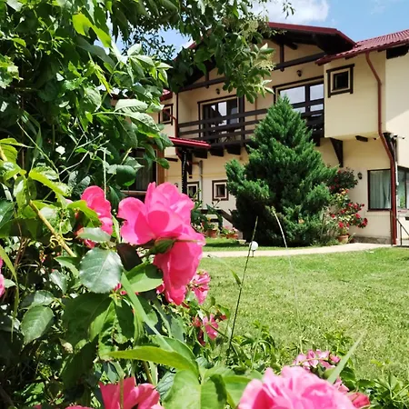 Casa cu Flori-3