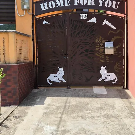 Home For You-3