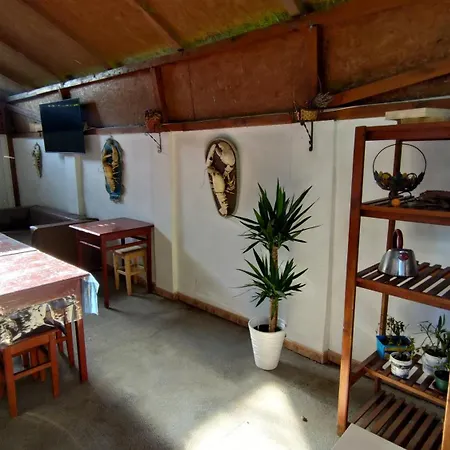 Holiday House Costinesti-3