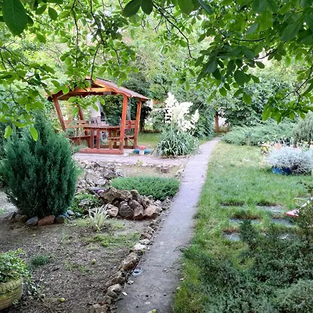Holiday House Costinesti-2