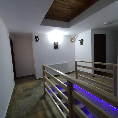 Casa Vânătorilor-3