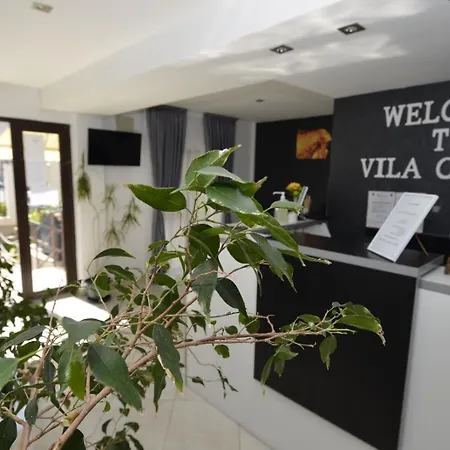 Vila Cosmin-3