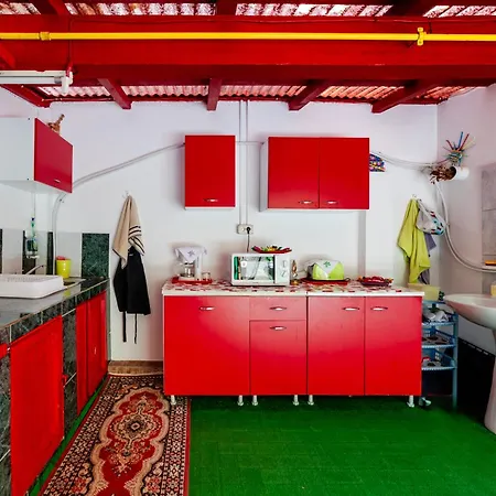 Camere de inchiriat VILA FLORY-3